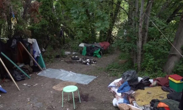 Meggyilkoltak egy hajléktalan férfit az újszegedi kiserdőben, három embert vettek őrizetbe