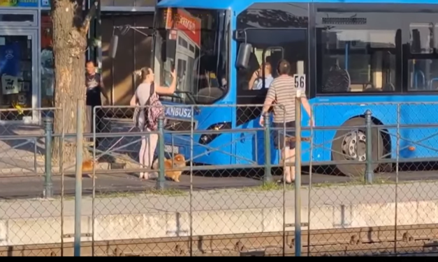 Magából kikelve ordibált és ököllel verte egy busz oldalát egy férfi Csepelen – videón a döbbenetes jelenet