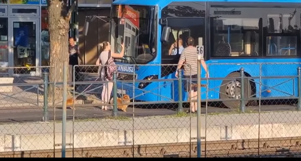 Magából kikelve ordibált és ököllel verte egy busz oldalát egy férfi Csepelen – videón a döbbenetes jelenet