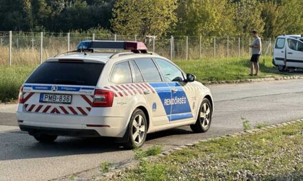 Éheztette és rendszeresen verte a két kiskorú gyermeket a nő, aki azt mondta, csak a pénzért vállalta a nevelőszülőséget