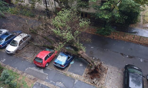 A viharkárok miatt bezárt a csepeli strand, Kispesten autókat tört össze egy kidőlt fa