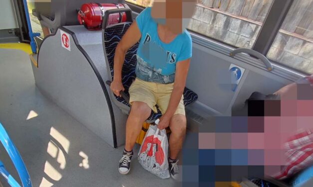 Bekötött nejlonzacskóba csomagolta kiskutyáját egy idős nő az újpesti buszon, egy utas mentette meg a yorkit