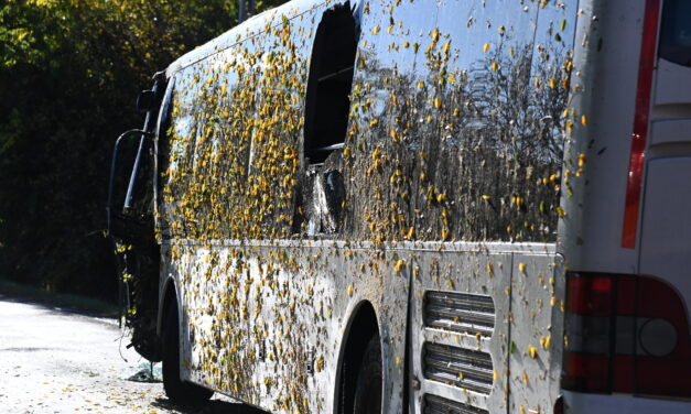 Halálos buszbaleset Fejér megyében: meghalt egy utas, 20 embert kellett kimenekíteni az árokba csapódott járműből