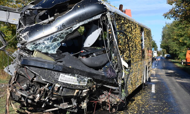 Halálfélelmükben ordítottak a túlélők, a Seregélyesnél meghalt buszsofőrnek öt gyermeke félárván maradt – VIDEÓ