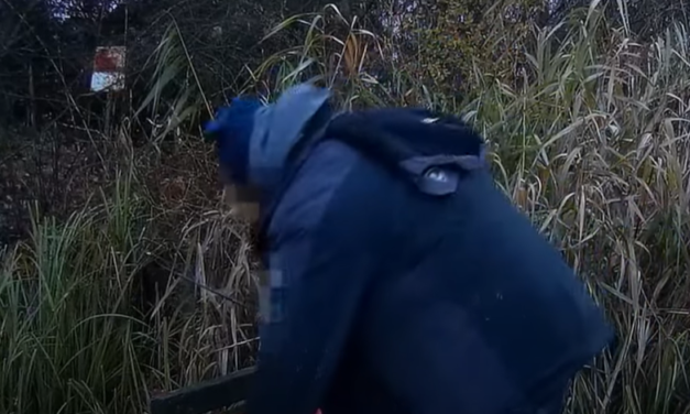 Mobiljával vette videóra a halőr, ahogy egy orvhalász autóval akarja őket elsodorni