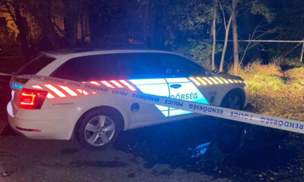 Vadbalesethez riasztották a rendőrséget Veszprémnél, a helyszínelés ideje alatt két járőrt elgázoltak – helyszíni videó a cikkben