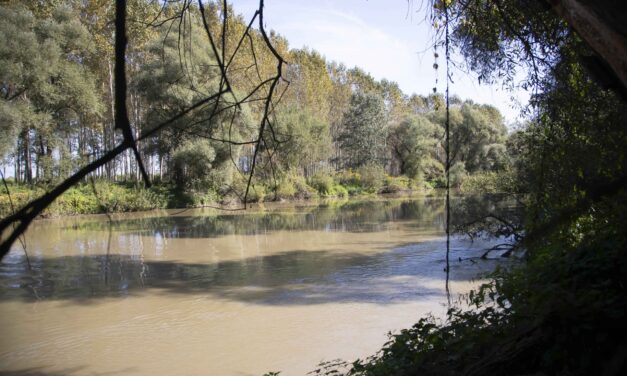 A folyó mellett áll az a fűzfa, amelynek a törzséről lógott az ember: heves családi vita után akarta eldobni az életét a szikszói férfi