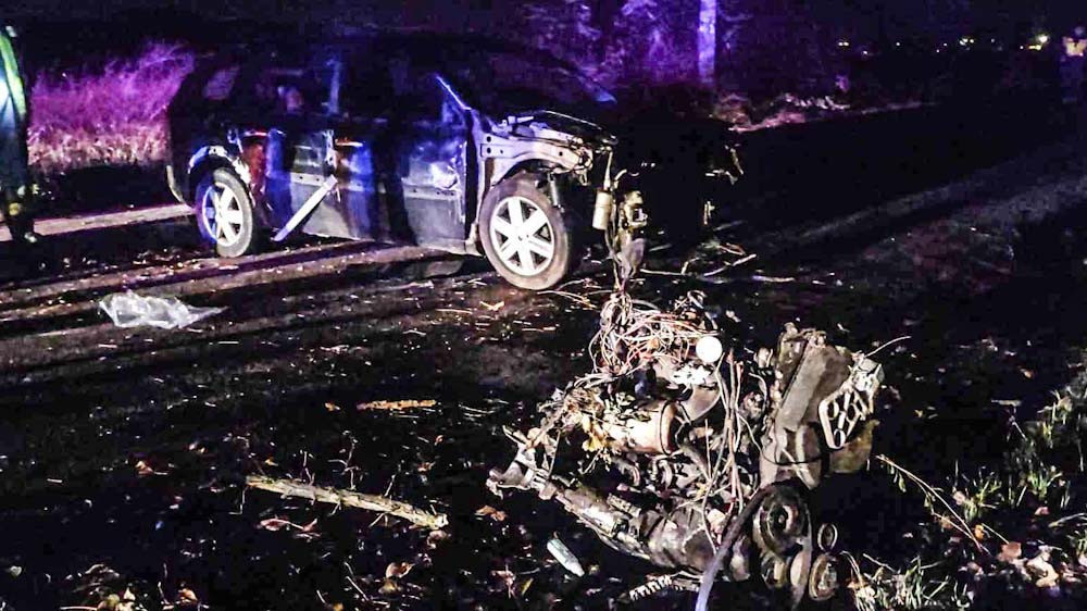 Kiszakadt a motor a Renaultból, amelyik egy fának ütközött Soroksáron – helyszíni fotók