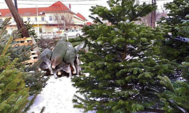 Rémálom a budapesti piacon: böllérkéssel rontott neki egy fenyőfaárúsnak az unokáját gyászoló férfi