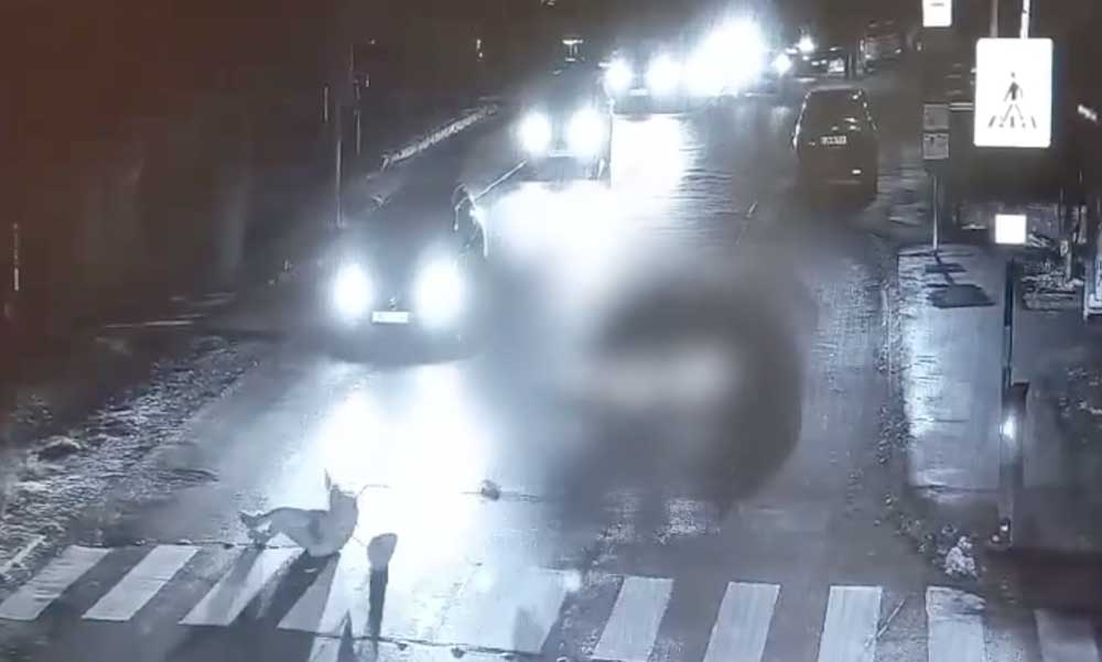 Kiadta a rendőrség a solymári gázolásról készült döbbenetes videót – Kegyetlenül átment a gyalogosokon a BMW-s