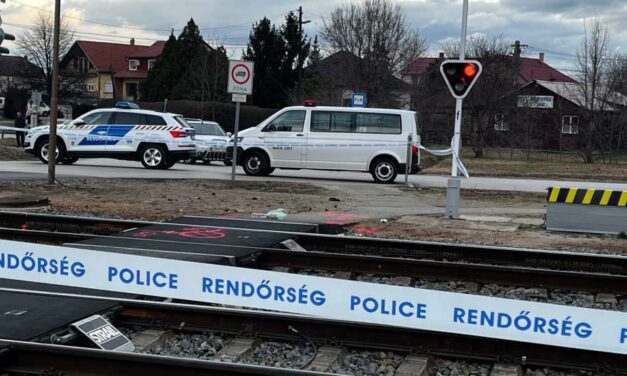 Gyógyíthatatlan beteg kisfiával lépett a vonat elé Győrnél a családanya: mindketten meghaltak
