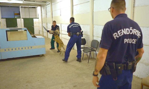 „Egy munkakutyával mindig történhet baj. Robbanóanyag keresése közben, fegyveres bűnözők közelében” – bármikor elveszítheti leghűségesebb munkatársát egy rendőrségi kutyakiképző
