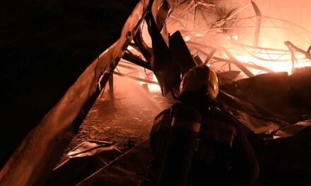 „Folyamatban az oltás, de borzasztó!” – porig égett az Oázis Kertészet Budapesten: videó a pusztító tűzről
