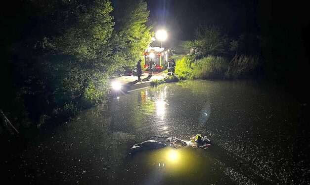 A hídról zuhant a vízbe a lovaskocsi Alsónémedinél, ittas lehetett a fogathajtó, emiatt pusztult el a két állat
