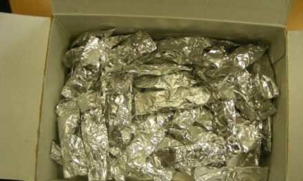 Kábítószerrel kereskedett egy család Pest megyében, válságos állapotba került az egyik vásárlójuk