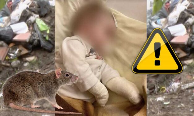 Ócsai patkánytámadás: seprűvel zavarták el a rágcsálót a szülők a csecsemő ágyából, a nehéz körülmények közt élő kisbaba újra visszakerült a kórházba