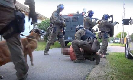 Akcióban a TEK – olyan mint egy váratlan villámcsapás, ez a hatékonyságuk titka és ezért rettegnek tőlük