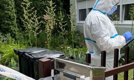 „Anyátokat senki sem bántotta” – mondta a bíróságon a férfi, aki halálra késelte mozgássérült feleségét majd a holttesttel aludt