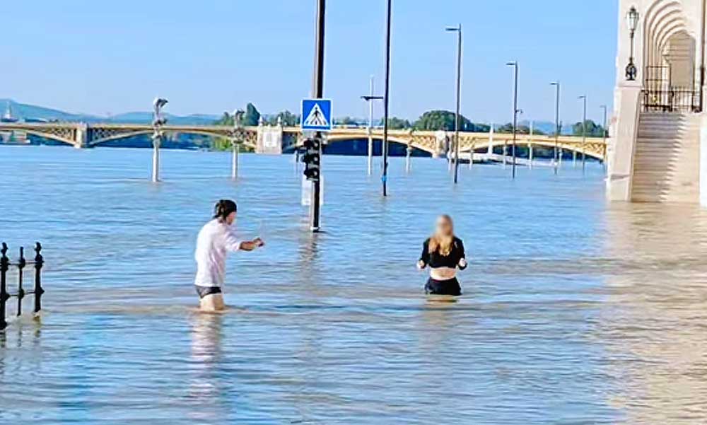 Vérhast lehet kapni az áradó Dunától de ez nem érdekli a katasztrófaturistákat, továbbra is fürdenek a megáradt folyóban – Videó