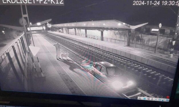 Részegen hajtott a sínekre és 200 métert ment a vonat útvonalán a suzukis: megszólalt a szemtanú