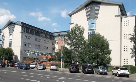 Infarktusos tünetekkel került a budapesti kórház sürgősségijére Piroska néni: EKG-t nem végeztek rajta, mire meglett a vérvizsgálat eredménye, az asszony meghalt