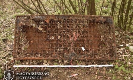 Vascsővel agyonverte, majd párja holttestét felgyújtotta és feldarabolta a zalaegerszegi hajléktalan