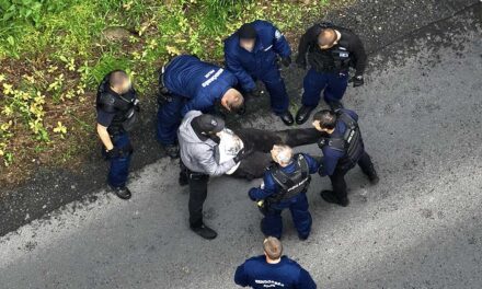Családi dráma: egy csákánnyal ütötte agyon feleségét a somogyi férfi, Csaba korábban is bántalmazta az asszonyt