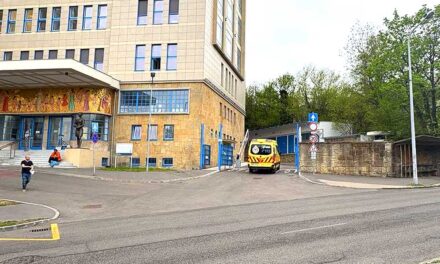 Gyilkosság Budapest elit kerületben: a Rózsadombon végzett feleségével egy idős férfit, az elkövetőt súlyos sérülésekkel vittek kórházba