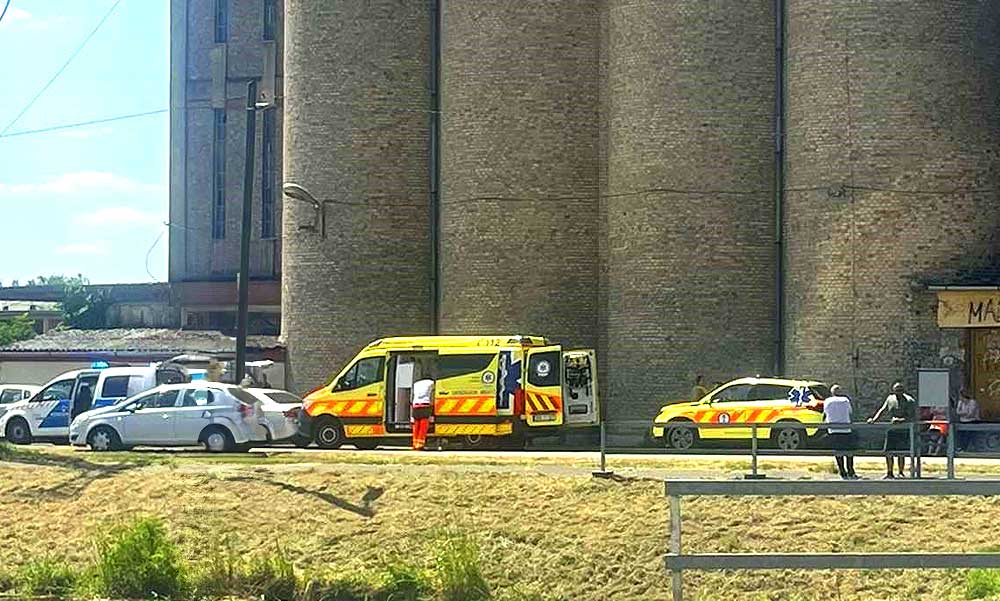 Felfoghatatlan tragédia: halálra gázolta a 2 éves gyermeket egy nő Kalocsán, az édesanya sokkot kapott a helyszínen