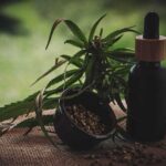 CBD-tartalom a CBD olajokban