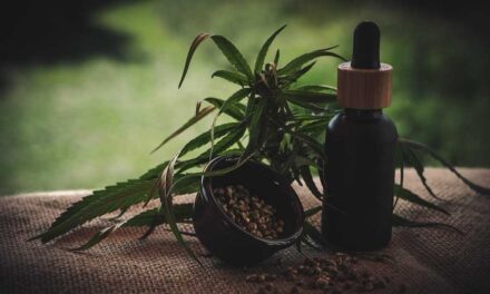 CBD-tartalom a CBD olajokban