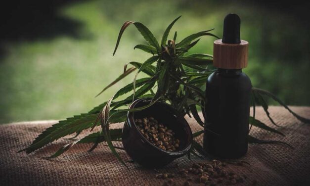 CBD-tartalom a CBD olajokban