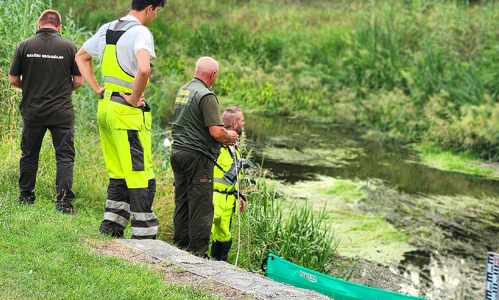 Tragédia: csatornába csúszott egy autó Bugyinál, egy férfi és egy kutya nem élte túl a balesetet