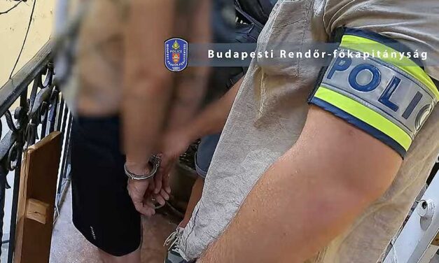 El akarta kerülni a börtönt a 70 éves asszony, elfogták a rendőrök: videó a cikkben