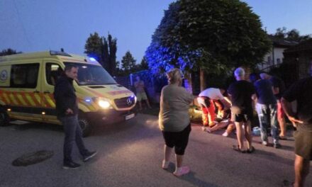 Brutális kutyatámadás Csömörön: sétáltatás közben támadt a rá a pitbull a válogatott sportolóra és kiskutyájára, a férfi kishíján elvérzett
