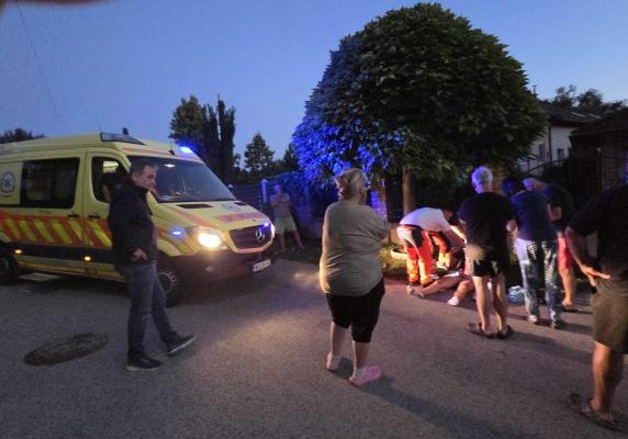 Brutális kutyatámadás Csömörön: sétáltatás közben támadt a rá a pitbull a válogatott sportolóra és kiskutyájára, a férfi kishíján elvérzett