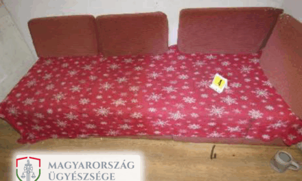 Borzalom Öcsödön: olyan súlyosan bántalmazta barátnőjét egy férfi, hogy a nő életveszélyes állapotba került, magzata pedig nem élte túl az ütlegeléseket