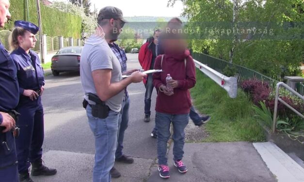 Gyilkosság a Rózsdombon: megúszta a börtönt az a fiatal nő, aki egy telefonzsinórral fojtotta meg anyját, miközben 2 éves kislánya a szomszéd szobában játszott