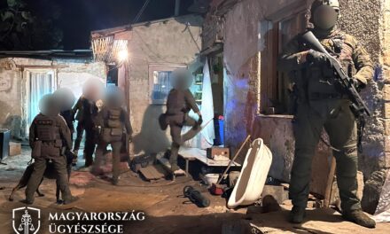 Élő adásban közvetítette az interneten egy siófoki család, ahogyan rátámadnak a fiukat előállítani akaró rendőrökre