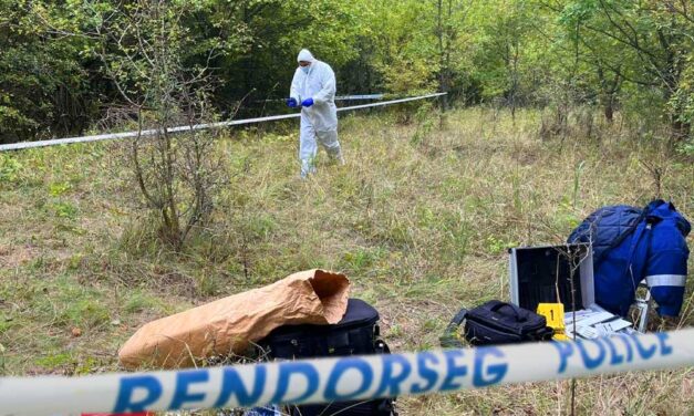 Kaszás Nikolett halála: önkezével végezhetett magával a Pilisben három hete eltűnt 27 éves nő