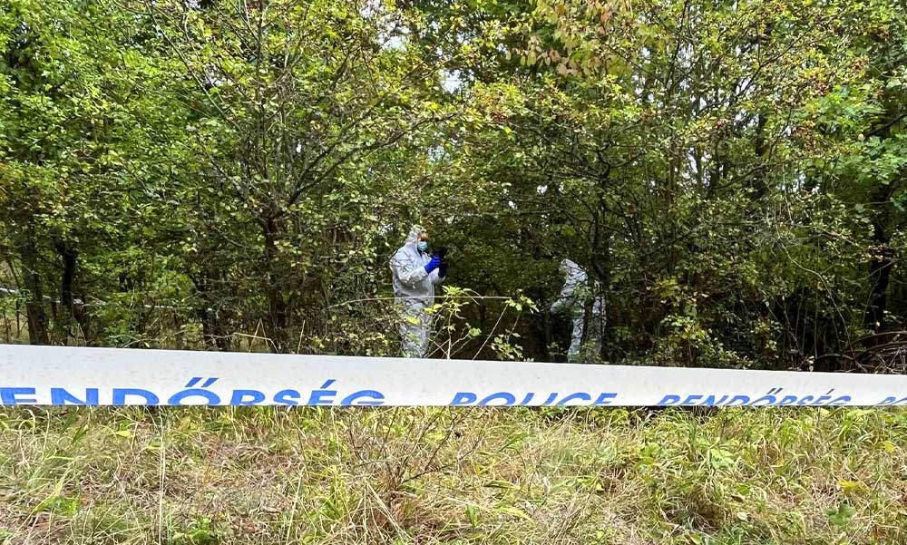 Kaszás Nikolett halála: civil önkéntesek a bokrok között találták meg a három hete eltűnt lány holttestét
