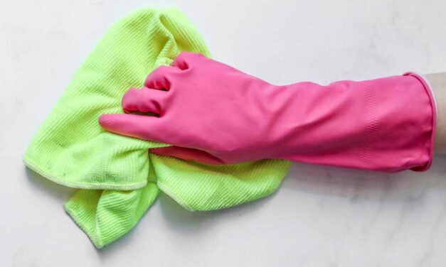 A környezettudatos tisztítás: az öko termékek forradalma