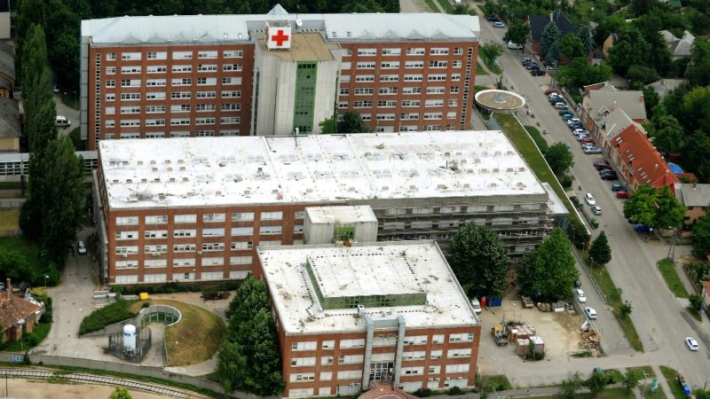 Ágyi poloskát észleltek a székesfehérvári kórházban, az intézmény szerint egyelőre nincs fertőzésveszély