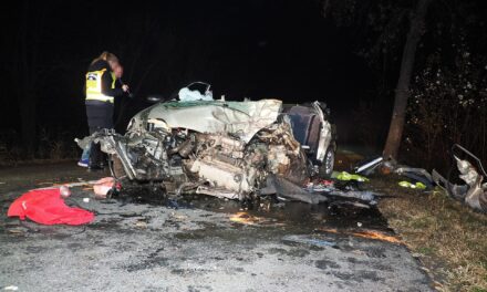 Kettős halál Újszilvásnál: 180 km/h-val csapódott egy fának az autó, a házaspár szörnyethalt, fiuk életéért küzdenek