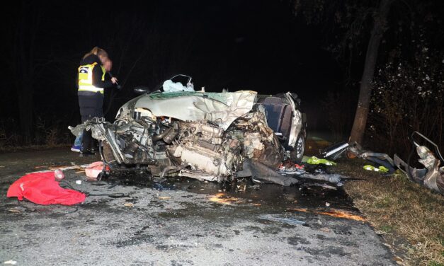 Kettős halál Újszilvásnál: 180 km/h-val csapódott egy fának az autó, a házaspár szörnyethalt, fiuk életéért küzdenek
