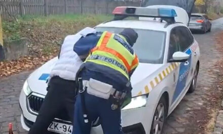 Támadás a váci vasútállomáson: fuvart ígértek egy külföldinek, ehelyett bántalmazták és kirabolták – rendőrségi videó a cikkben