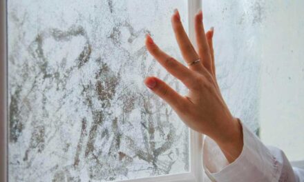 Párásítás okosan