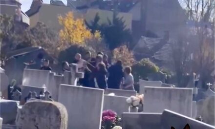 Balhé a kaposvári temetőben: két család esett egymásnak, az asszonyok rikácsolva pofozták egymást – videó a cikkben