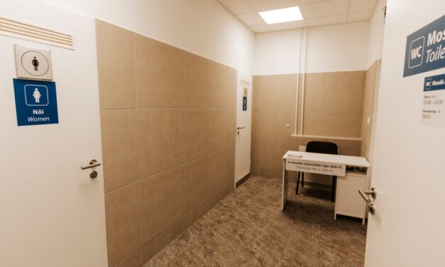 Videóra vette a nőket a kukkoló: éttermi és vasúti mosdókban filmezett a balatoni férfi