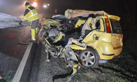 Avokádót szállító kamionnal ütközött a Suzuki: az autó 21 éves sofőrje azonnal meghalt